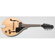 ELEKTRO MANDOLIN