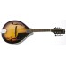 ELEKTRO MANDOLIN ÇANTALI, ANTİK SUNBURST, LADİN KAP