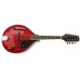 ELEKTRO MANDOLIN ÇANTALI, TRANS RED, LADİN KAPAK