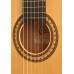 FLAMENCO ELEKTRO KLASİK GİTAR FISHMAN PREFIX PRO BL