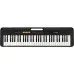 Casio Casiotone CT-S100