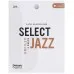 D'Addario Woodwinds Organic Select Jazz Unfiled Alto Saksafon Kamışı (3 lü) No:2 Medium