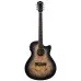 Washburn Deep Forest Burl Ace Black Fade Elektro Akustik Gitar